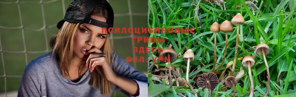 скорость Навашино